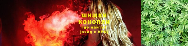 крисы Балахна
