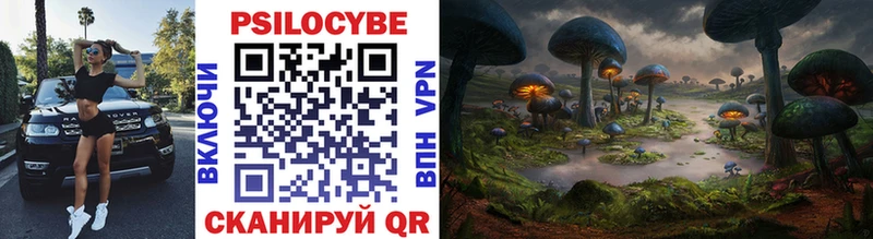 Псилоцибиновые грибы Psilocybine cubensis  kraken маркетплейс  Темников 