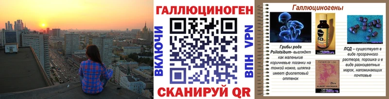 Галлюциногенные грибы Psilocybe Темников